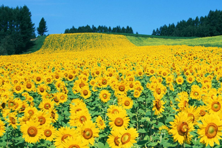 人生处世智慧@一个人将要发达起来了会出现这三个征兆，有一个也要恭喜了！