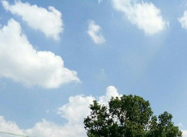 「早安晚安星语」想你，不再打扰你，只要你平安康健就好！