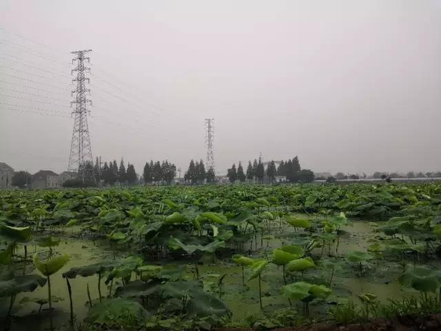 [早安晚安星语]聆听着心灵的呼唤，静静地把你想念，心中的疼只有自己懂