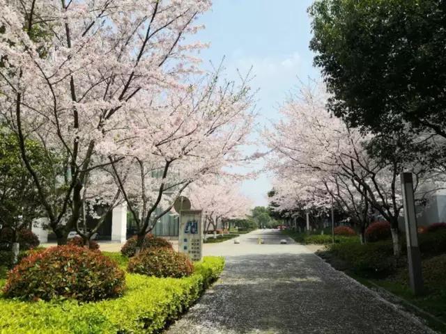 [早安晚安星语]聆听着心灵的呼唤，静静地把你想念，心中的疼只有自己懂