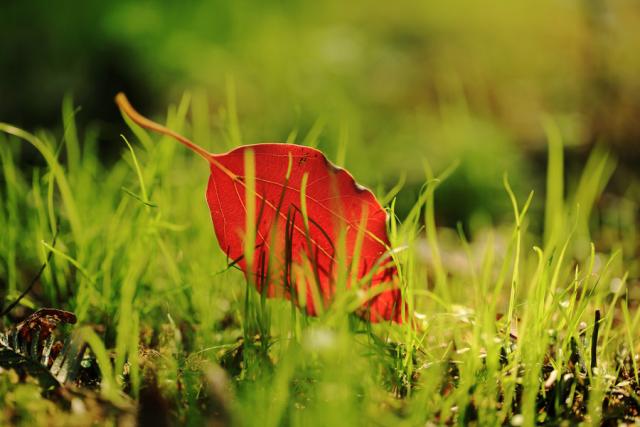 「谈笑风生浊酒一杯」不知不觉，已经到了五十岁了！