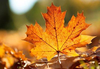 「谈笑风生浊酒一杯」不知不觉，已经到了五十岁了！