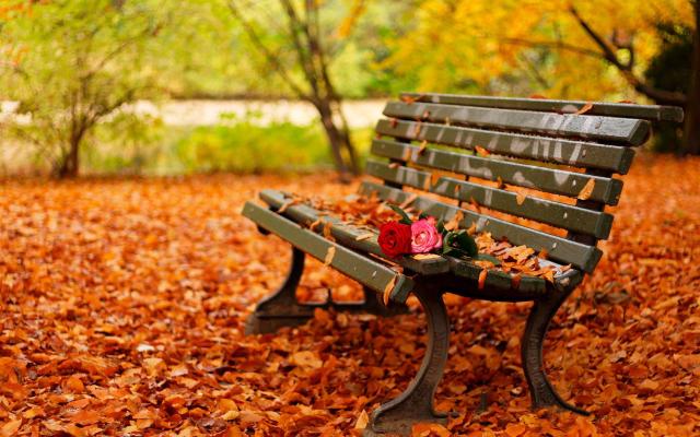 「谈笑风生浊酒一杯」不知不觉，已经到了五十岁了！