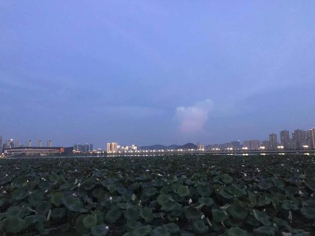 「娱乐楠」生活中觉得不错的正能量句子