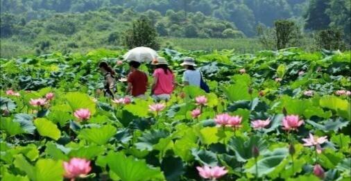 「老蒋书房」真正好的人，不会在朋友圈发这四种动态。