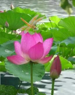 「老蒋书房」真正好的人，不会在朋友圈发这四种动态。