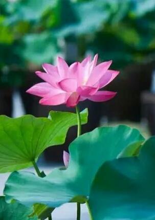 「老蒋书房」真正好的人，不会在朋友圈发这四种动态。