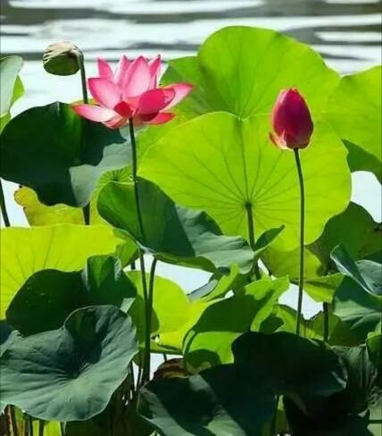 「老蒋书房」真正好的人，不会在朋友圈发这四种动态。