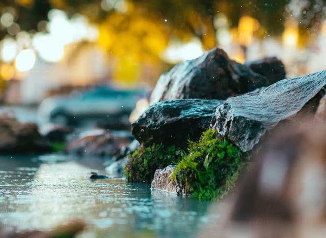 #昕月蓝殇美文苑#此生做不成夫妻，来生不见也不念