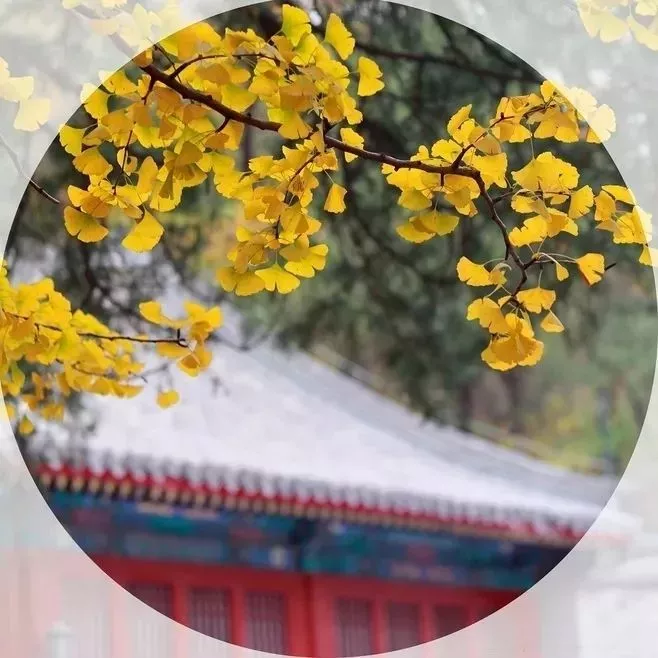 蔷薇财商■今日寒露：袅袅凉风动，寒露秋更浓