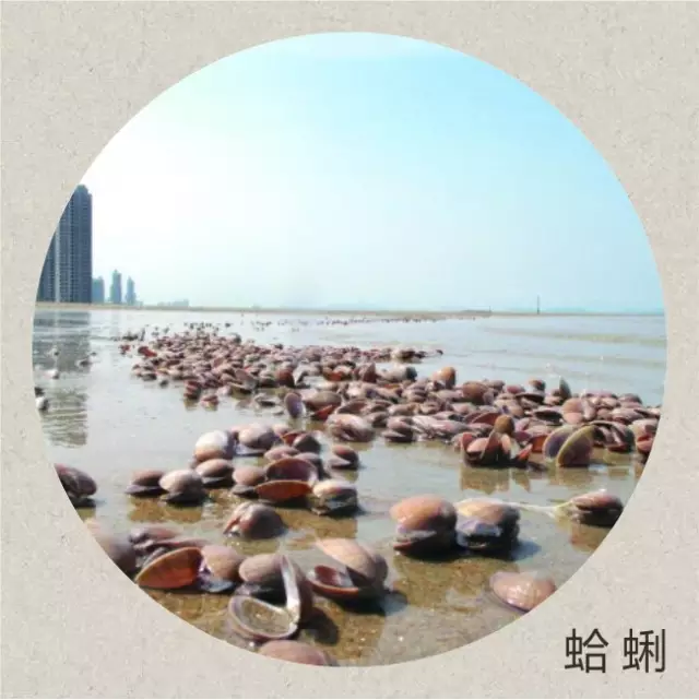 蔷薇财商■今日寒露：袅袅凉风动，寒露秋更浓