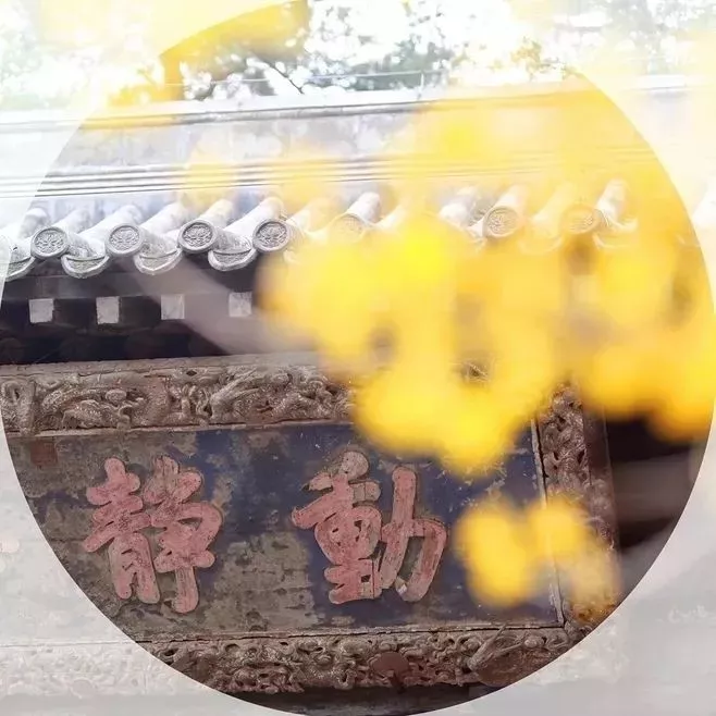 蔷薇财商■今日寒露：袅袅凉风动，寒露秋更浓