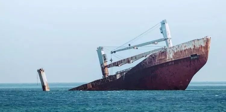 首席人才官：我辞职了，公司放假喊我回去加班