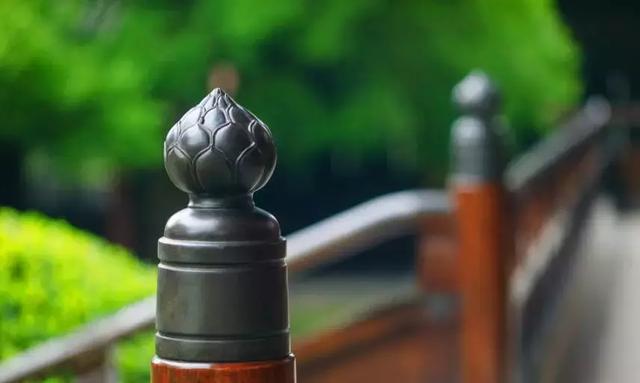 [慈善快报]一切顺其自然，上天自有安排