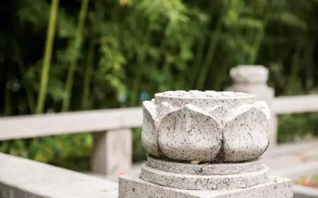 [慈善快报]一切顺其自然，上天自有安排