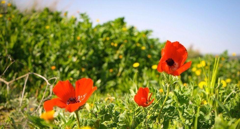 「我的老伴TB」父母最心寒的是，子女一边依赖一边嫌弃