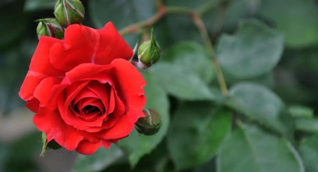 「我的老伴TB」父母最心寒的是，子女一边依赖一边嫌弃