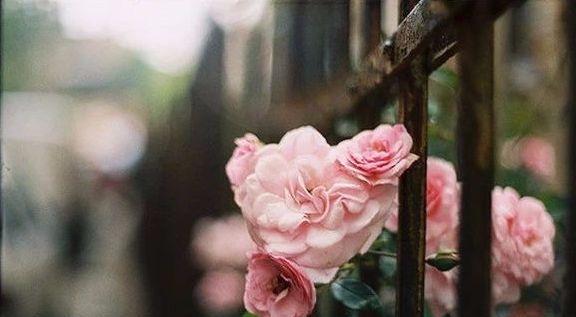 「我的老伴TB」父母最心寒的是，子女一边依赖一边嫌弃