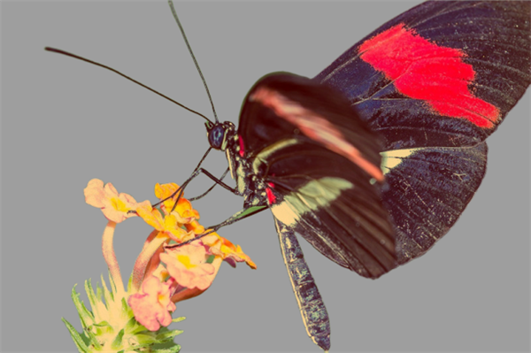 「光明网」是的，这才是最正确的生活方式，努力和爱自己！