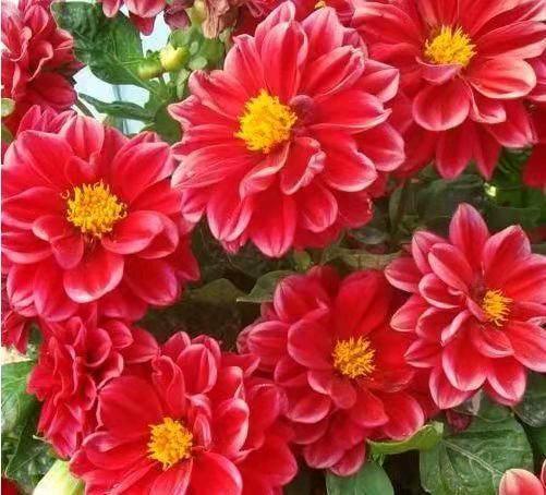 道与欢同学■执念太深，终成魔障 ，怨念太浅，终是无情