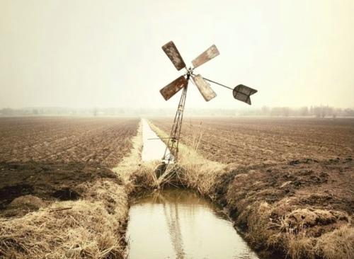 「浅浅情感说」低调，是一种素养，一种谋略，一种善良