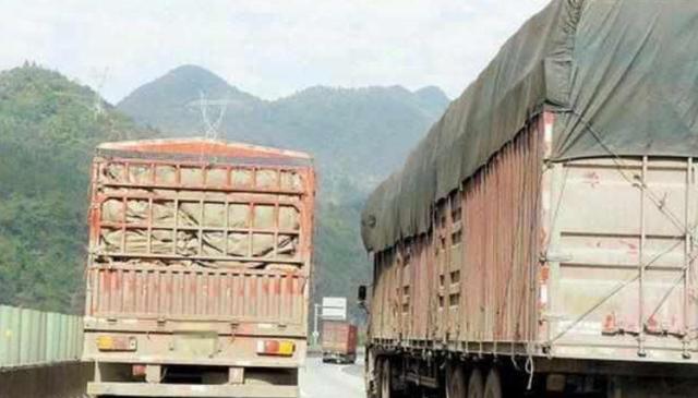 #大汽车只a#为什么在超车道上还打左转向灯？来听一听老司机怎么说