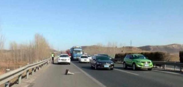 #大汽车只a#为什么在超车道上还打左转向灯？来听一听老司机怎么说