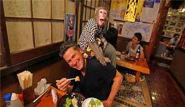 ..一家餐厅用猴子当服务生，它们会上菜会表演，工资还不要钱