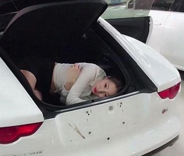 宝哥爱说娱乐@抖音“捷豹美女”火了，为了卖车钻后备箱，网友：这操作也是稳了