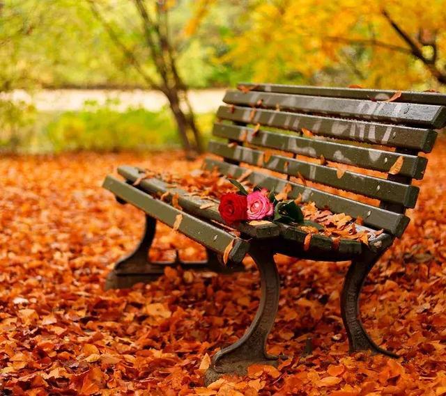 微微一笑倾城尔■有深度的励志句子，句句振奋人心