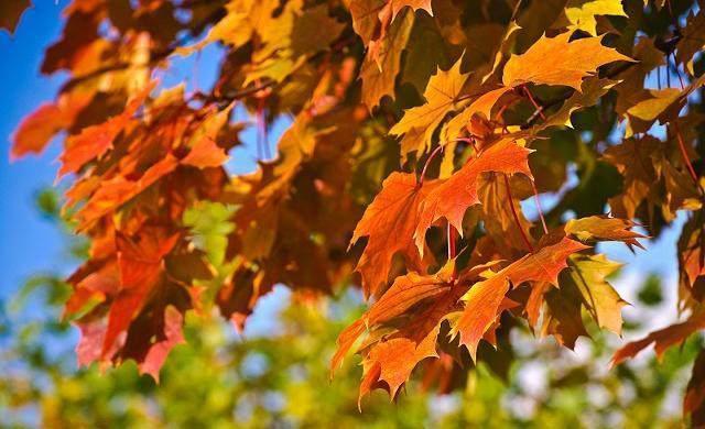 微微一笑倾城尔■有深度的励志句子，句句振奋人心