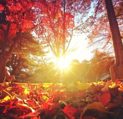 微微一笑倾城尔■有深度的励志句子，句句振奋人心