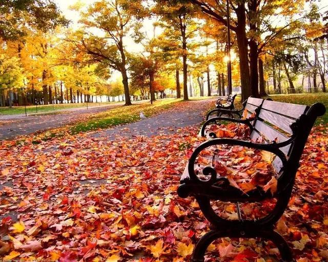 微微一笑倾城尔■有深度的励志句子，句句振奋人心