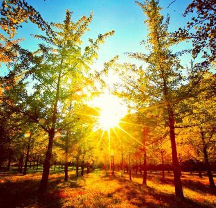 微微一笑倾城尔■有深度的励志句子，句句振奋人心