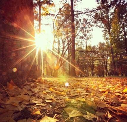 微微一笑倾城尔■有深度的励志句子，句句振奋人心