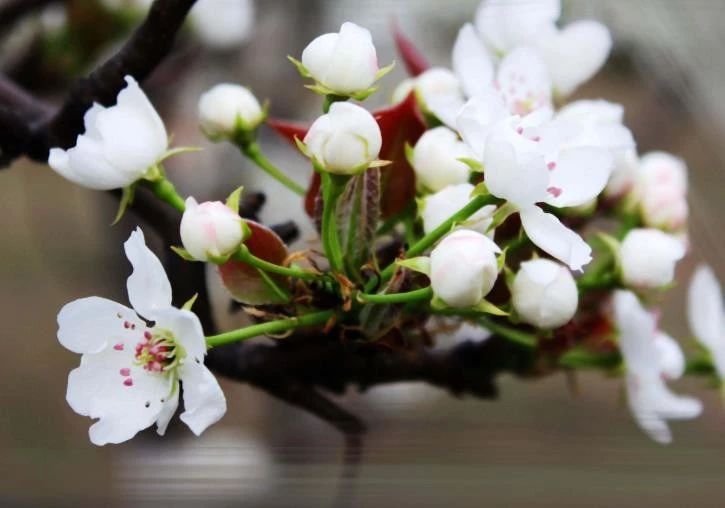 天天励志正能量■做人，做事要真，生气要假