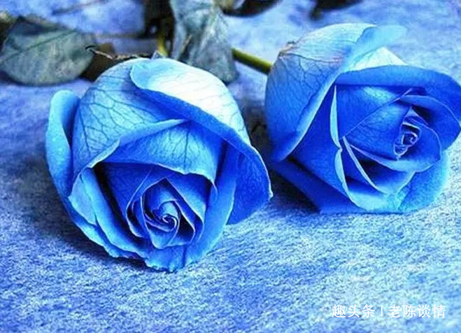 「老陈谈情」有一种幸福，叫有人真心对你好