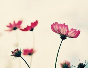 【老蒋书房】有以下几种行为，说明你真穷了