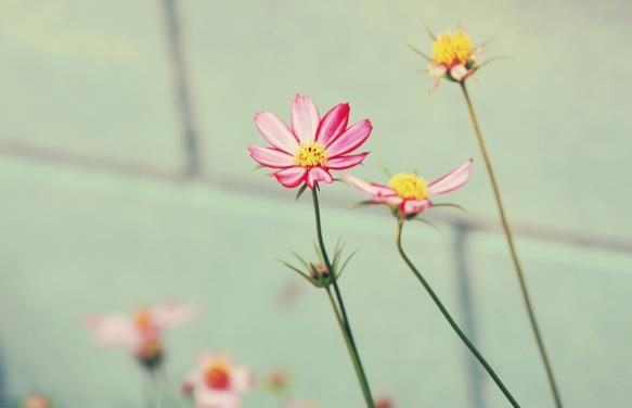 【老蒋书房】有以下几种行为，说明你真穷了