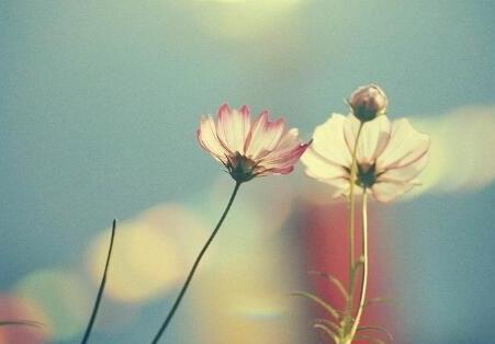 【老蒋书房】有以下几种行为，说明你真穷了