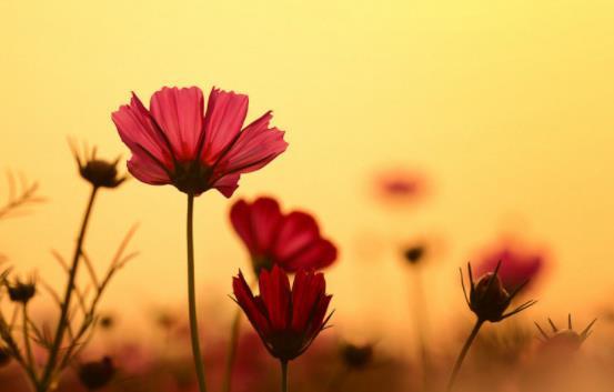 【老蒋书房】有以下几种行为，说明你真穷了