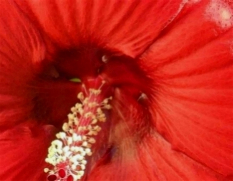 你所想象不到的科技@最会心疼老婆的三个生肖，成熟踏实有上进心，生怕她受一点委屈