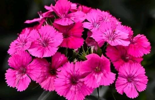 「道与欢同学」自己的难，自己懂；自己的苦，自己扛！