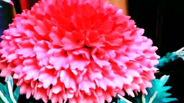 「道与欢同学」自己的难，自己懂；自己的苦，自己扛！