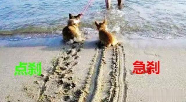 「酒泉泉湖高速交警大队」开车时，刹车应该怎么踩最稳妥？