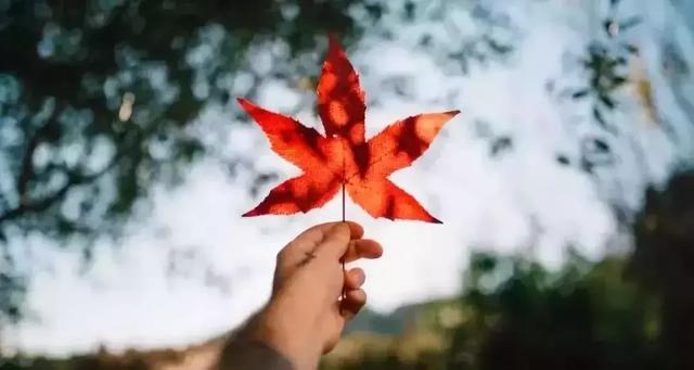 柠檬美文@有一种牵挂，叫秋凉添衣！