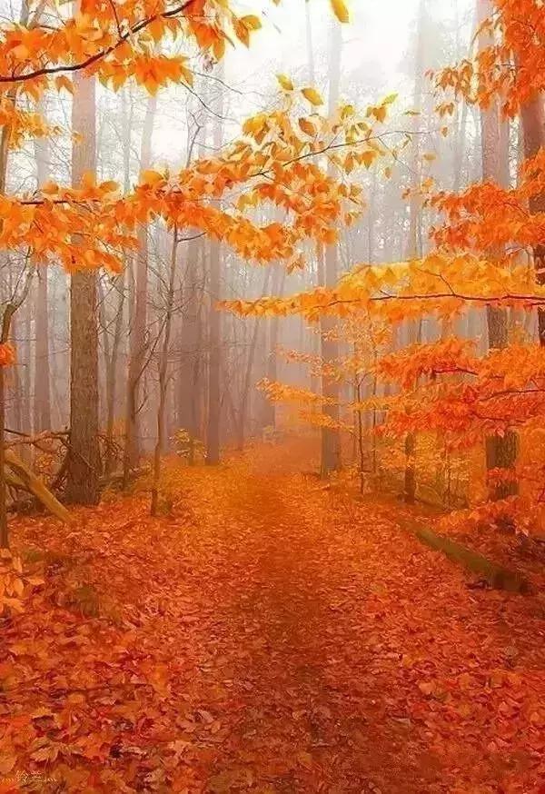 柠檬美文@有一种牵挂，叫秋凉添衣！