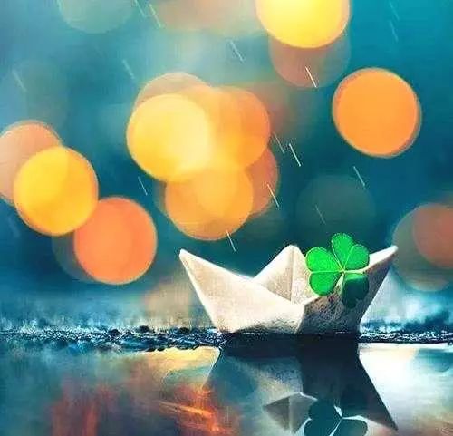 「空中凡星」人生低谷时，尽量多睡觉，少说话，多看书