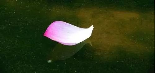 「空中凡星」人生低谷时，尽量多睡觉，少说话，多看书