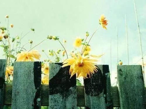 「空中凡星」人生低谷时，尽量多睡觉，少说话，多看书